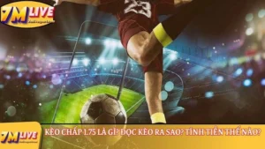 Kèo chấp 1.75 là gì? Đọc kèo ra sao? Tính tiền thế nào? 14 kèo chấp 1.75 là gì