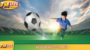 Kèo Tài Xỉu 2.5-3 là gì? Những thông tin cơ bản nhất về kèo 12 kèo tài xỉu 2.5-3 là gì