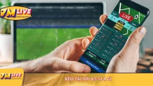 Kèo Tài Xỉu 4.5-5 là gì? Khám phá 3 thông tin cần biết về kèo 12 Kèo Tài Xỉu 4.5-5 là gì