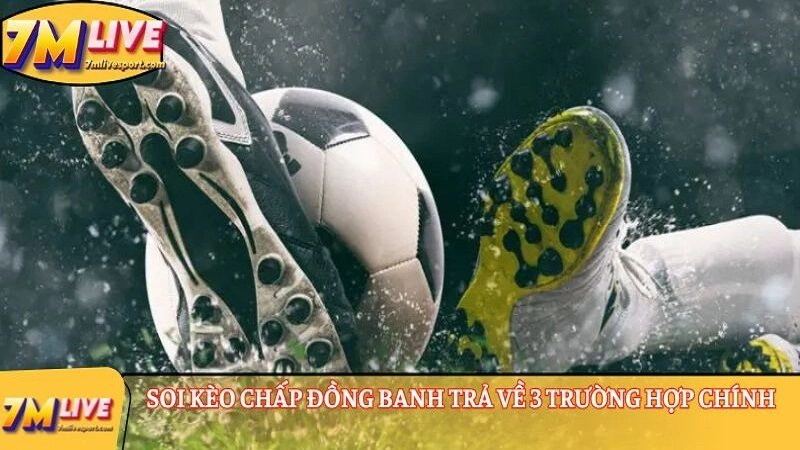 Kèo chấp 1 là gì? Cách đọc chuẩn, tính tiền thắng thua cược 8 Soi kèo chấp đồng banh