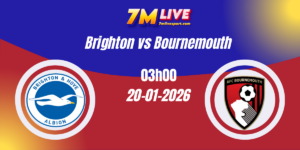 Nhận định Ngoại hạng Anh Brighton vs Bournemouth 20/01/2026 11 Nhận định Ngoại hạng Anh Brighton vs Bournemouth 20/01/2026